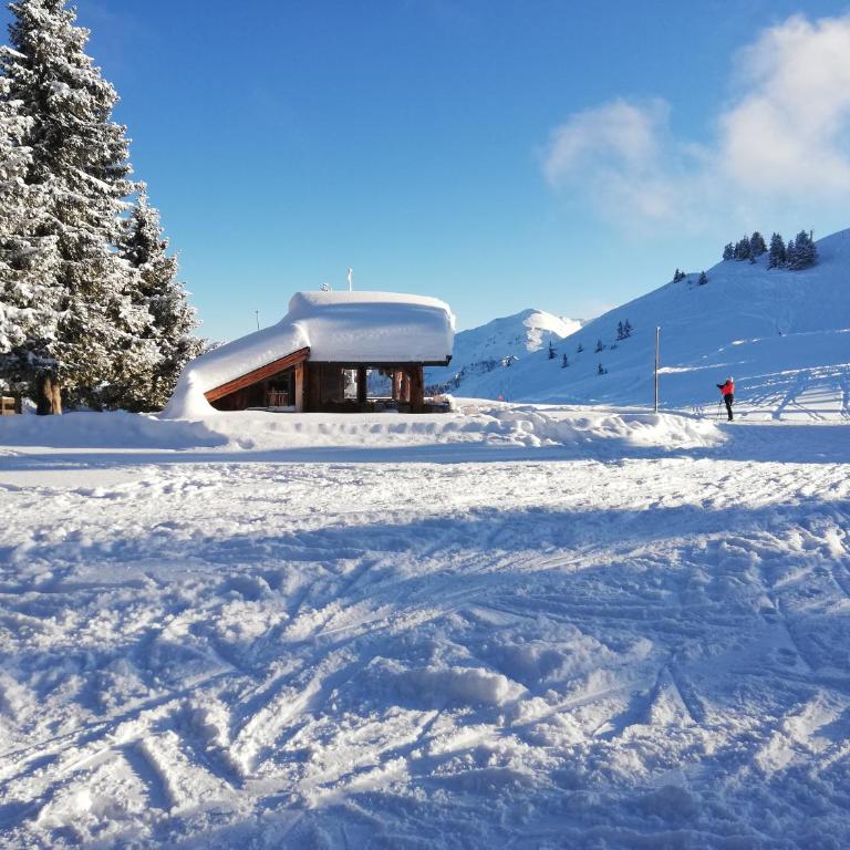 Holzfällerhaus Melkstatt - Haus mit 3 Schlafzimmern - 38