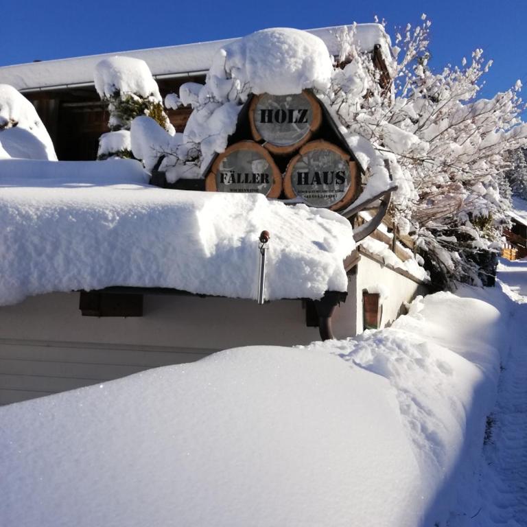Holzfällerhaus Melkstatt - Haus mit 3 Schlafzimmern - 36