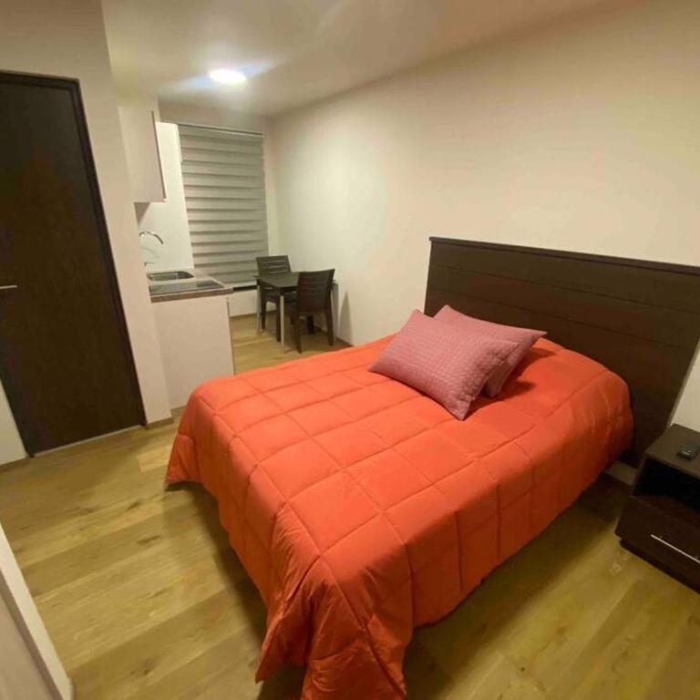 Smart studio - One-Bedroom Apartment - 1