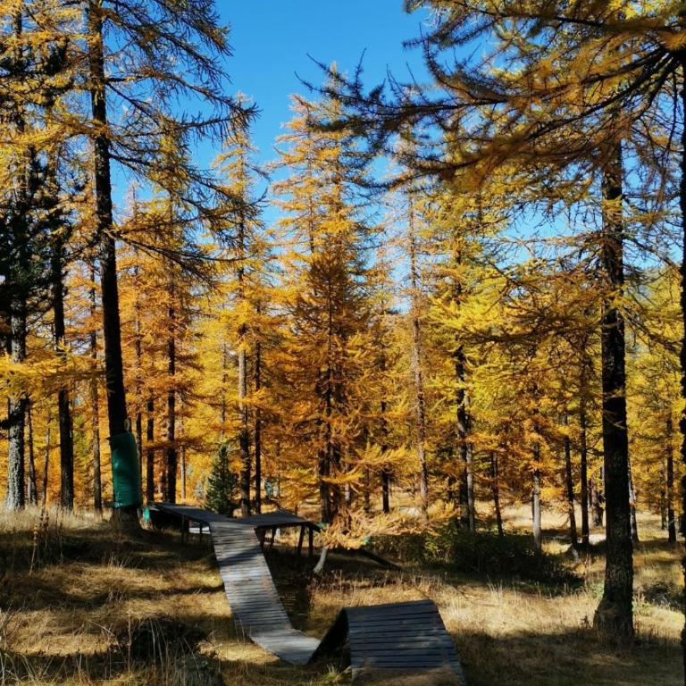 Cosy Mountain _ free park - Appartement 2 Chambres - 18