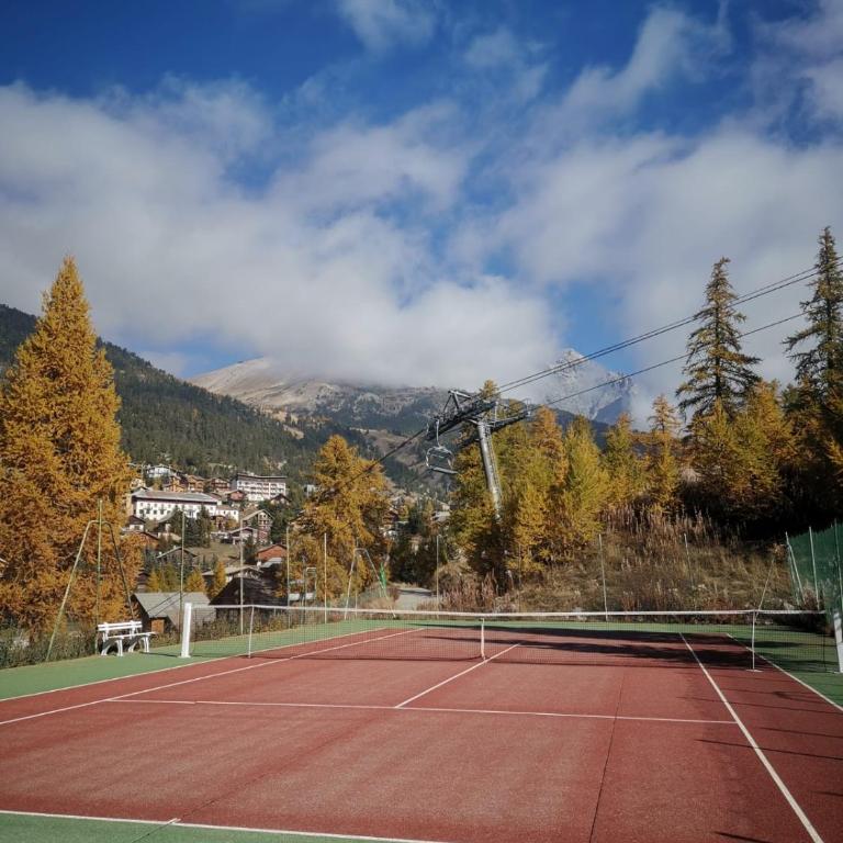 Cosy Mountain _ free park - Appartement 2 Chambres - 20