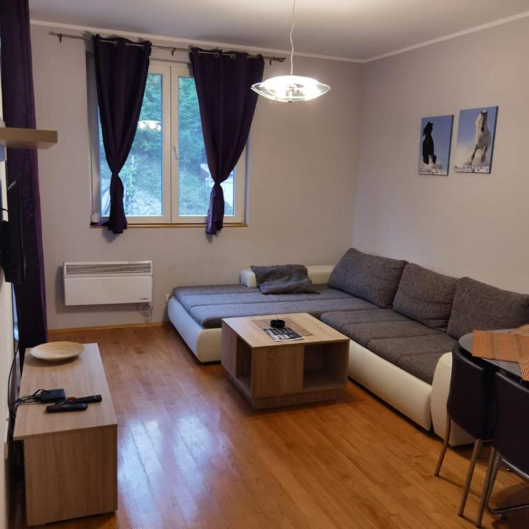 APARTMENTS FOKA & SPA - 600m from Gondola ski lift - One-Bedroom Apartment with Terrace - 33