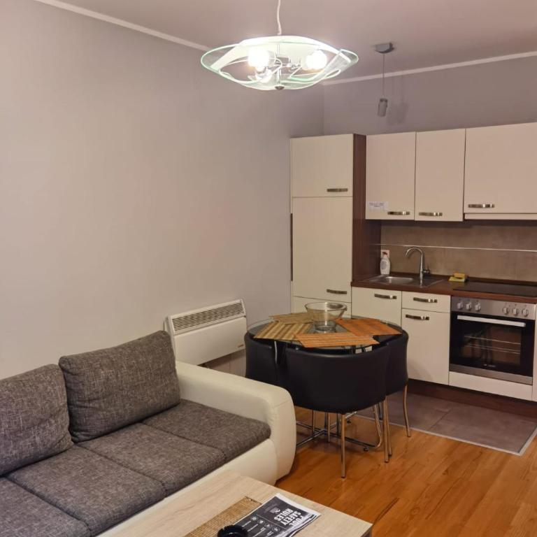APARTMENTS FOKA & SPA - 600m from Gondola ski lift - One-Bedroom Apartment with Terrace - 32