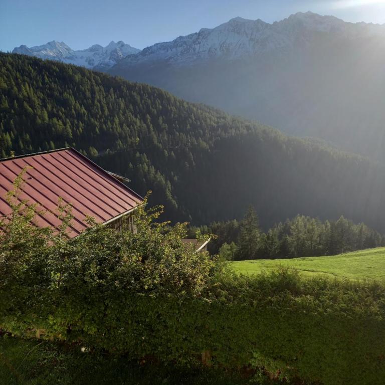 Haus Panorama - Apartment mit 1 Schlafzimmer - 10