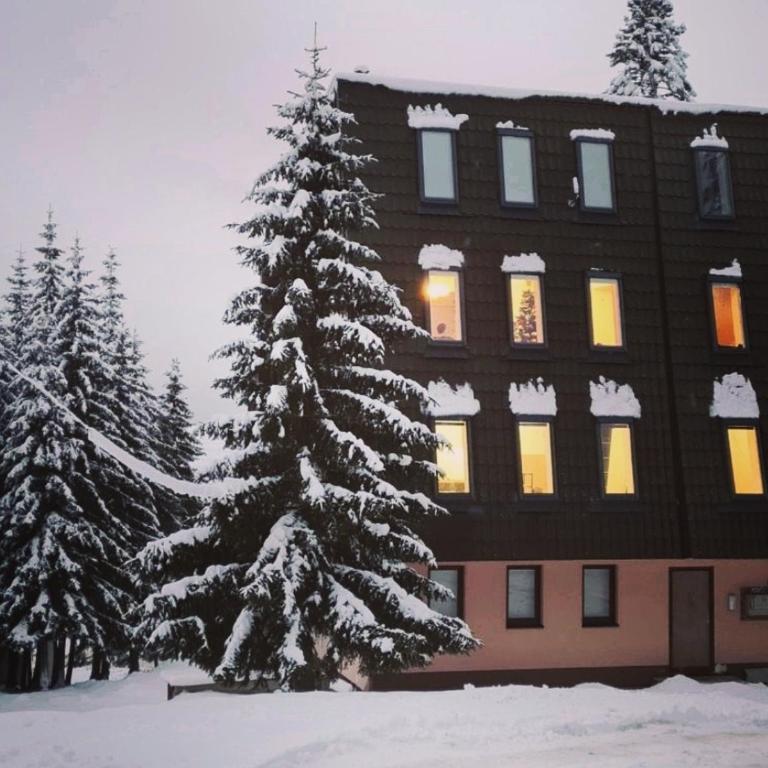 Apartman MAŠA Jahorina - One-Bedroom Apartment - 26