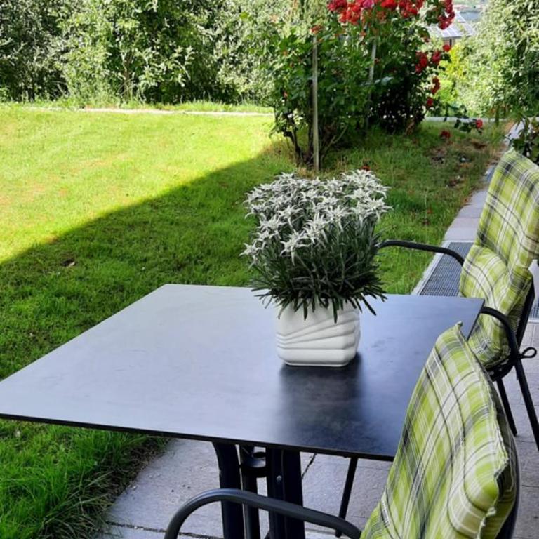 Moserhof - Appartamento con 2 Camere da Letto - 4
