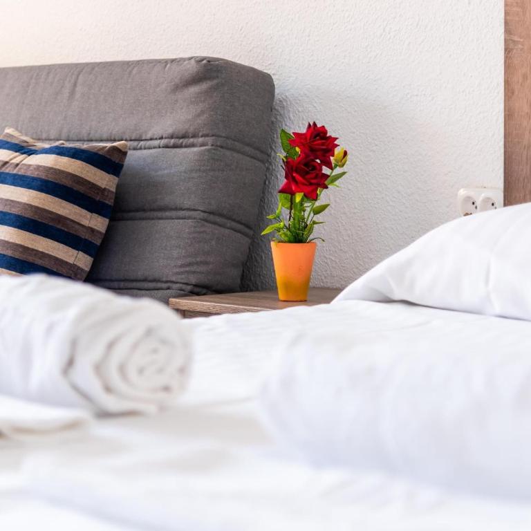 651 Bright establishment, heated pool and Wi Fi - Estudio con sofá cama - 9