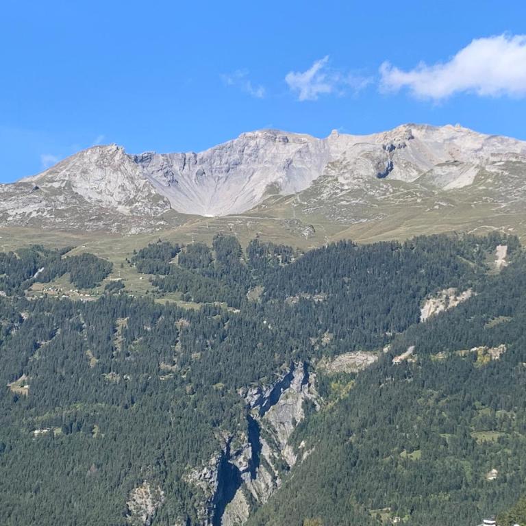 La Jacinthe de Crans - Appartement 2 Chambres - 46