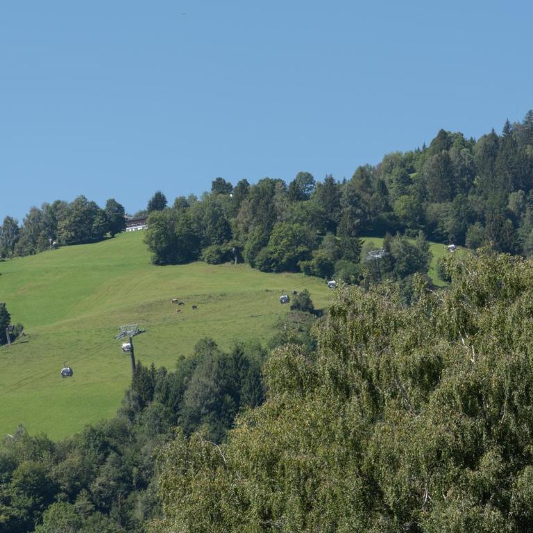 Chalet Love The Alps by All in One Apartments - Apartment - 23