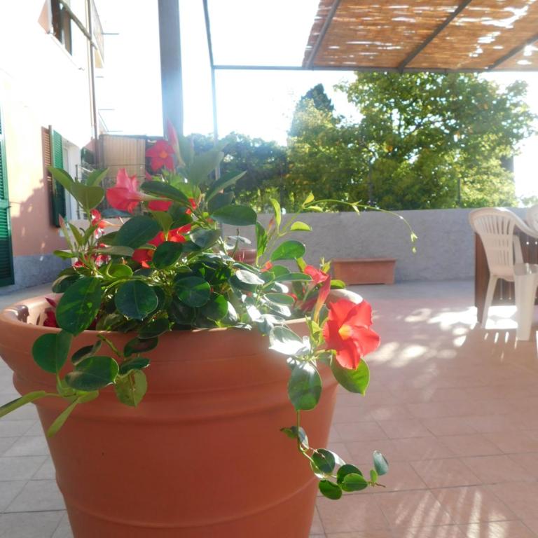 Quinto Canto Moneglia - Casa con 2 Camere da Letto - 18