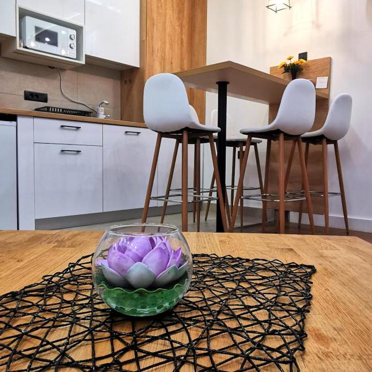 MOON LUX Apartman Beograd - Apartman sa 1 Spavaćom Sobom - 14