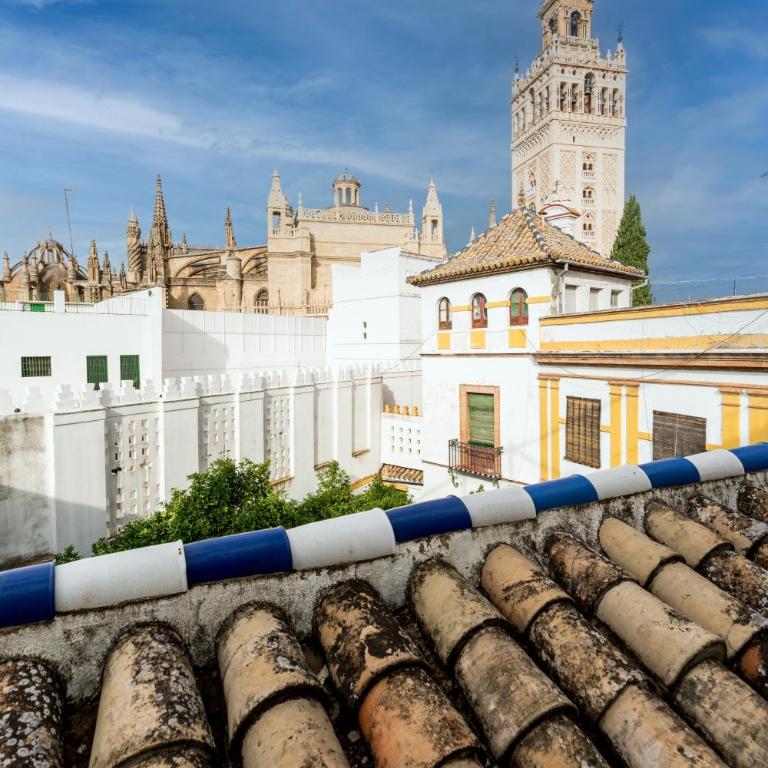 Historic Building Cathedral - Apartamento con terraza - 12