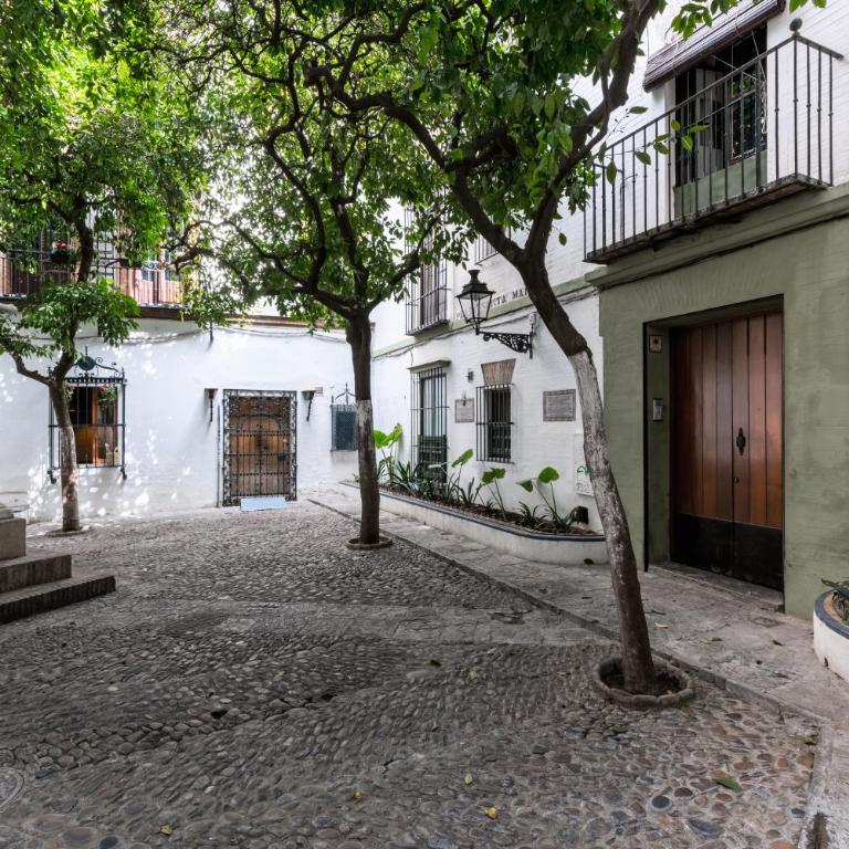 Historic Building Cathedral - Apartamento con terraza - 15