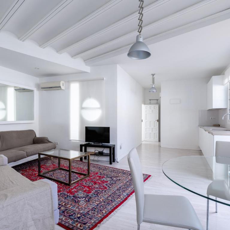Historic Building Cathedral - Apartamento con terraza - 44