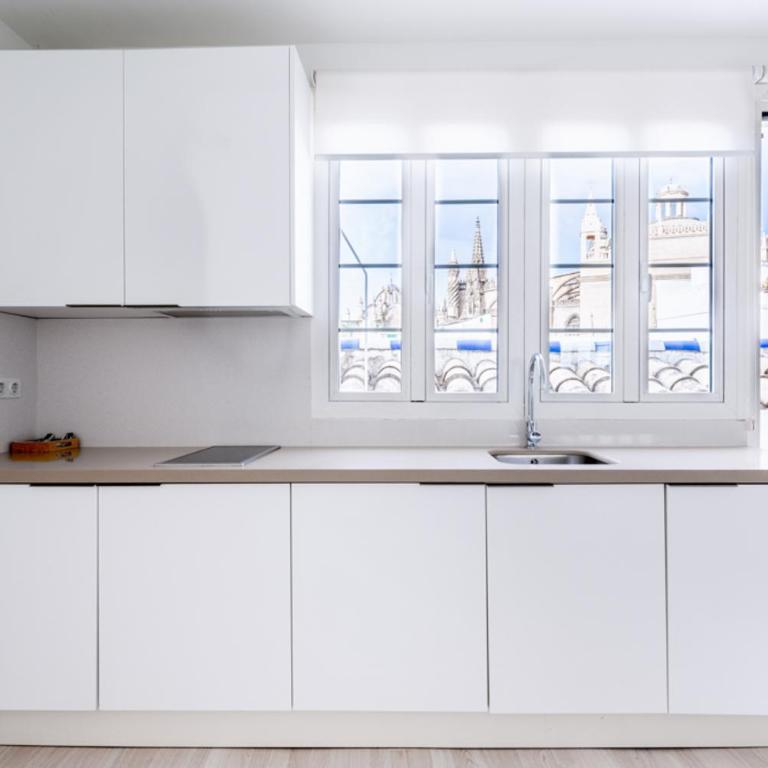 Historic Building Cathedral - Apartamento con terraza - 62
