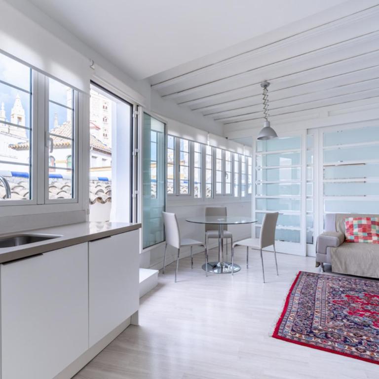 Historic Building Cathedral - Apartamento con terraza - 63