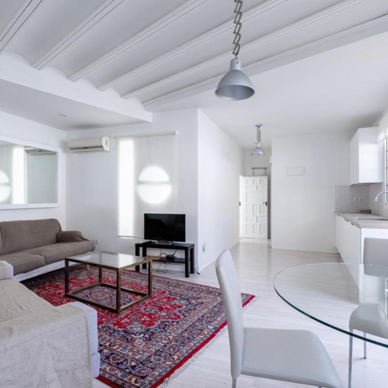 Historic Building Cathedral - Apartamento con terraza - 69