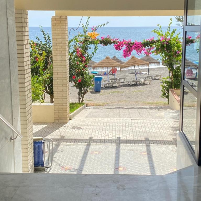 Magnifico apartamento con vistas al mar, 1ª Linea - Apartamento de 2 dormitorios - 25