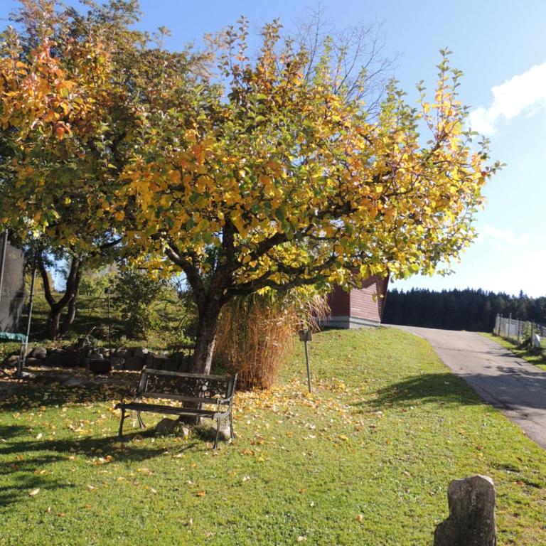 Ferienwohnung Butscher - Apartamento de 1 dormitorio - 42