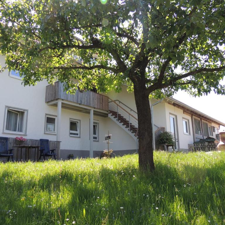 Ferienwohnung Butscher - Apartamento de 1 dormitorio - 25