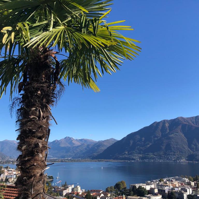 Condominio Andromeda Seeblick - Appartamento con 1 Camera da Letto - 27