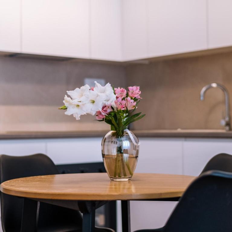 Marshal Doctor - Apartman sa 1 Spavaćom Sobom - 4