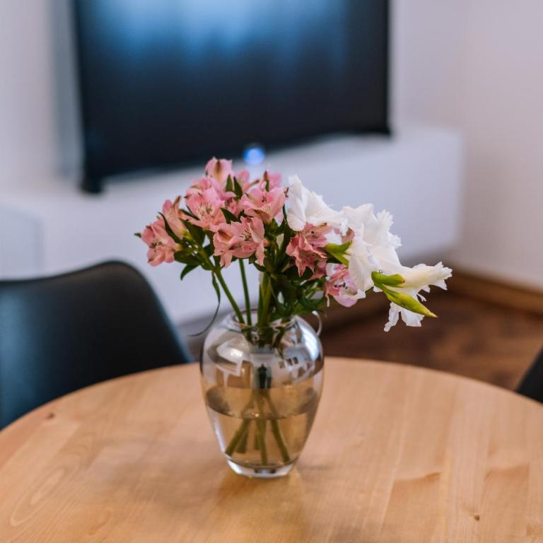 Marshal Doctor - Apartman sa 1 Spavaćom Sobom - 6