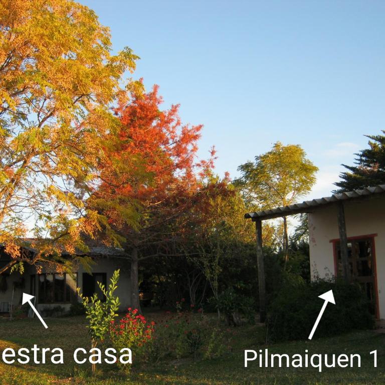 Pilmaiquen - One-Bedroom House - 6
