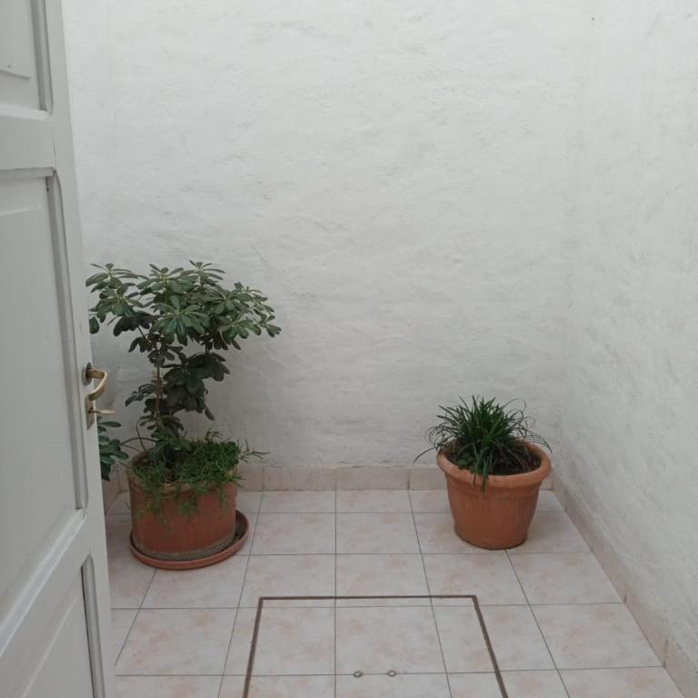 Las Marias Aparthotel - Apartamento - Planta baja - 10