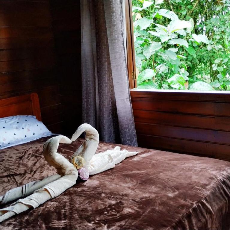 Cabañas Manakins - Three-Bedroom House - 32
