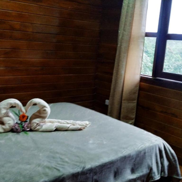 Cabañas Manakins - Three-Bedroom House - 34