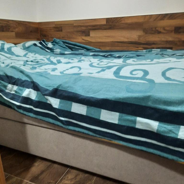 APARTMANI Arsic - One-Bedroom Apartment - 2