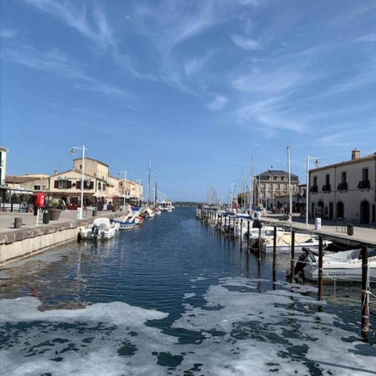 Appartement d'exception sur le port pittoresque de Marseillan - Appartement 2 Chambres - 9