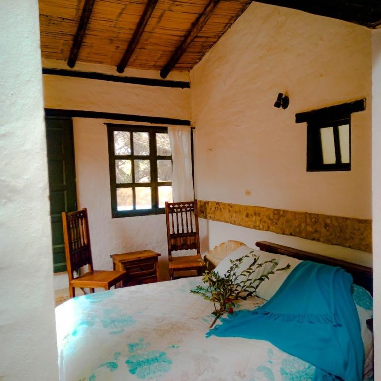 El Hayuelo Ecolodge - Estudio con vistas al jardín - 6