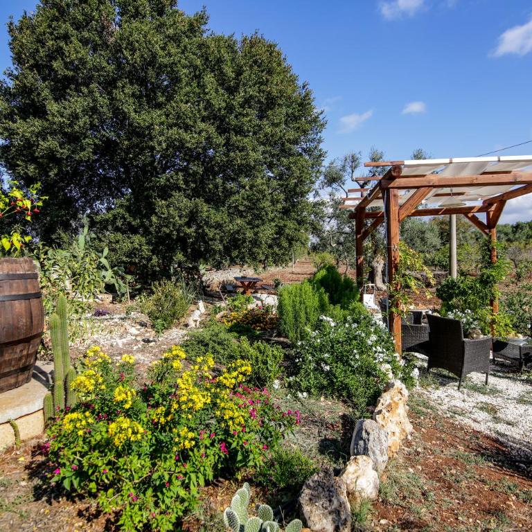Trullo Madia e Dimora Giorgio - Casa Vacanze - 46