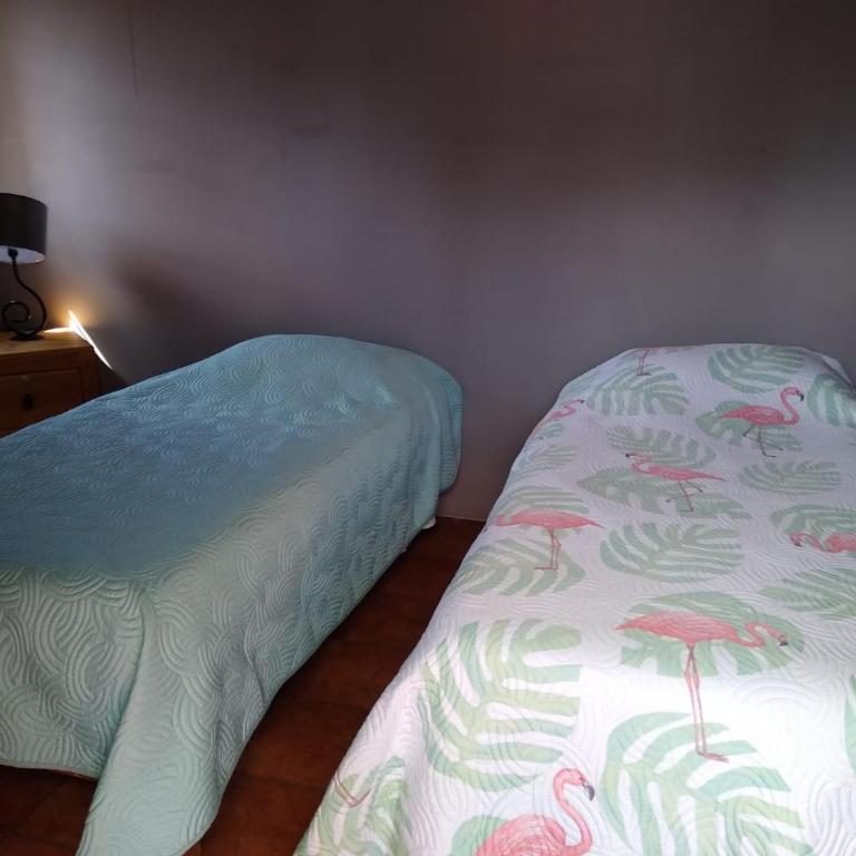 Hostal Don Felipe - Habitación Doble - 1 o 2 camas - 3
