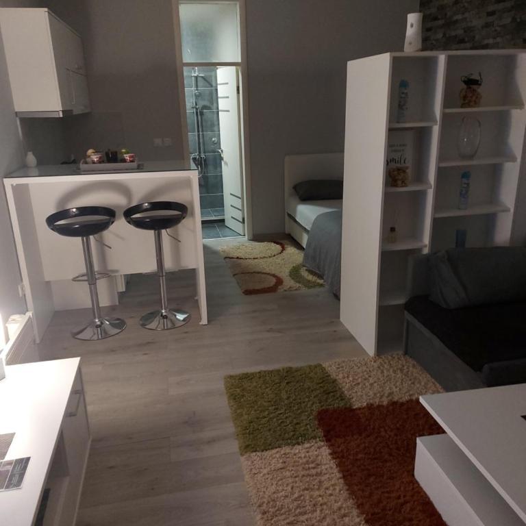 Studio - Stan na dan Nina - Pale Centar - One-Bedroom Apartment - 3