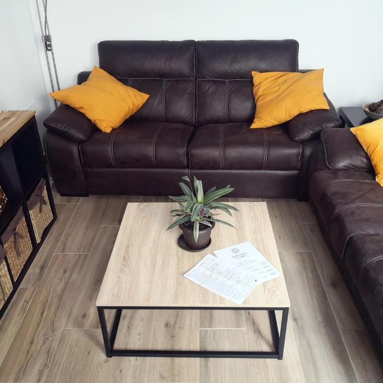 Entre patios y flores - Two-Bedroom Apartment - 13