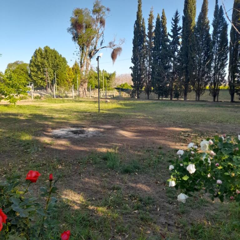 La casa de aminga dpto Castro barros La Rioja Argentina - Casa de 3 dormitorios - 13