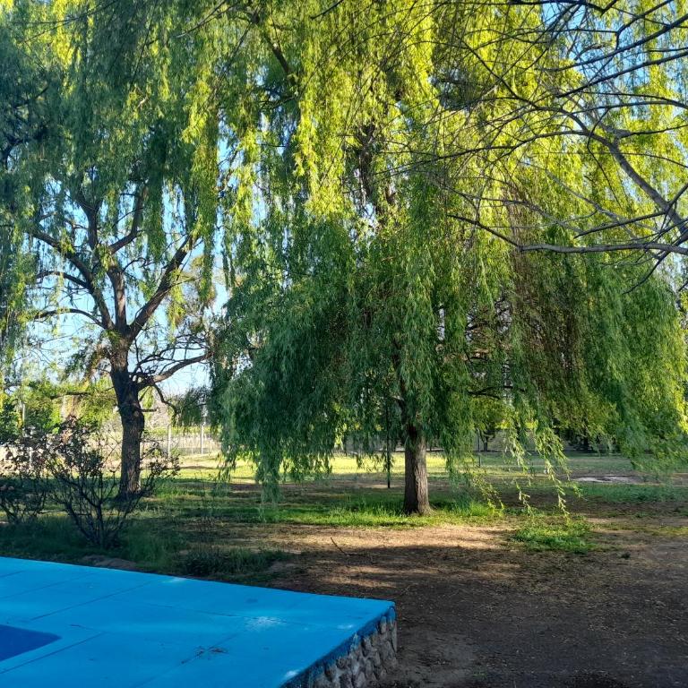 La casa de aminga dpto Castro barros La Rioja Argentina - Casa de 3 dormitorios - 14
