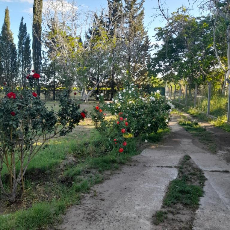La casa de aminga dpto Castro barros La Rioja Argentina - Casa de 3 dormitorios - 16