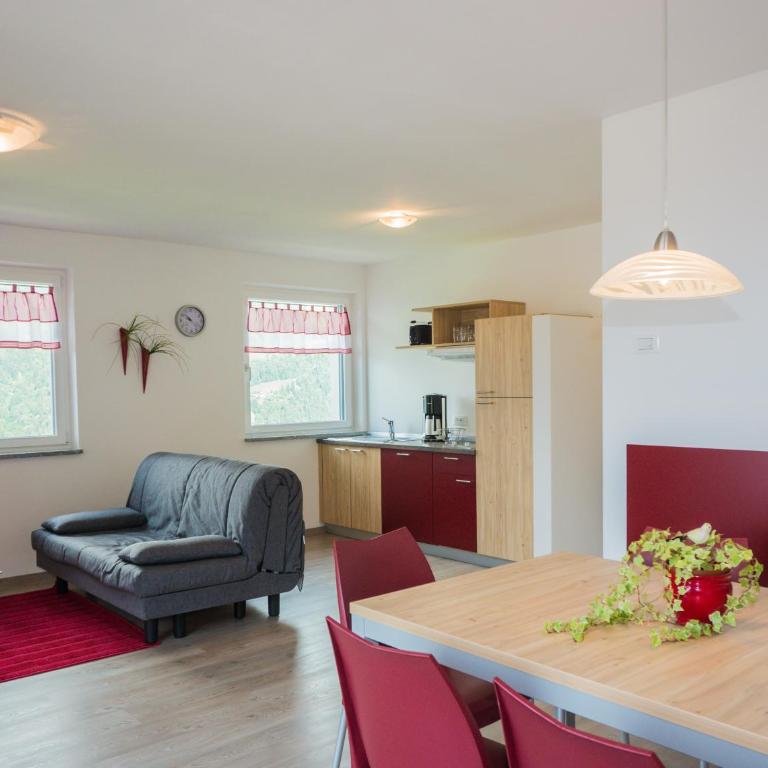 Gasserhof Garni & Apartment - Appartamento Monolocale - 6