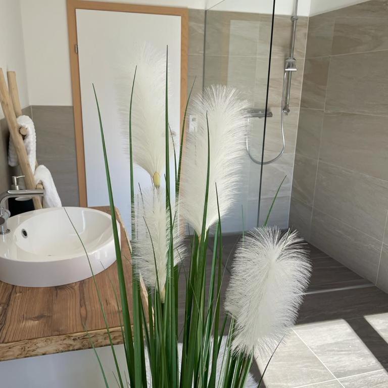 Naturpark Appartment - Apartment mit 1 Schlafzimmer - 5