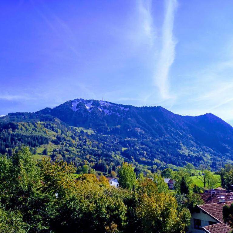 Ferienwohnung Grüntenpanorama im Jägerwinkl Allgäu - Appartamento con 2 Camere da Letto - 2