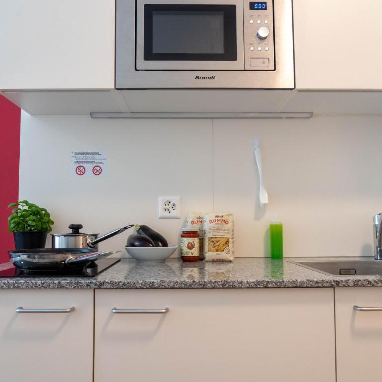 Anstatthotel Horw - app self-check-in - Superior Studio mit 2 Einzelbetten und Balkon - 8