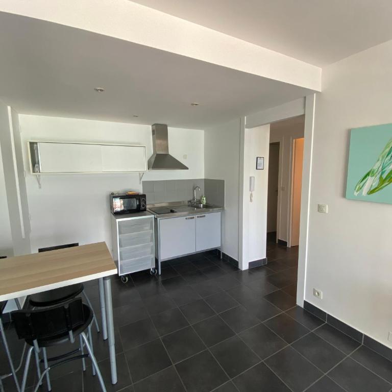 ECHAPPEE BELLE AU BORD DU LAC - Appartement 1 Chambre - 5
