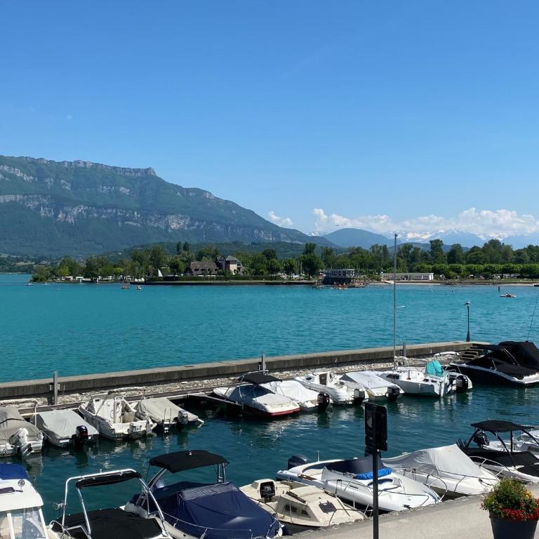 ECHAPPEE BELLE AU BORD DU LAC - Appartement 1 Chambre - 25
