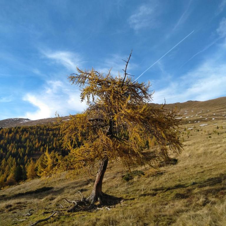 Marktlhütte - Chalet - 44