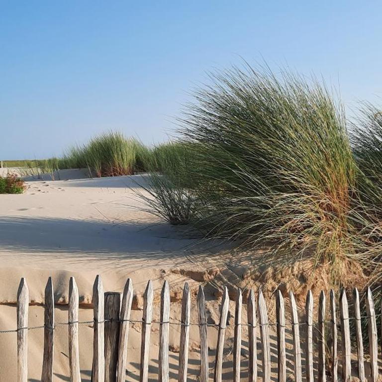 Maison sur le Bassin d'Arcachon - Casa con 4 camere da letto - 23