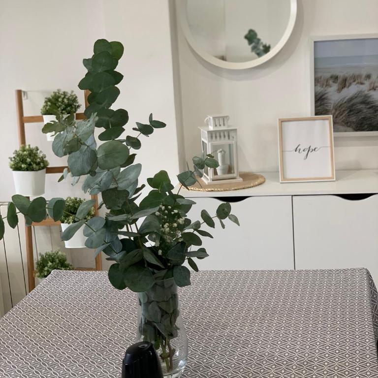 Apartamento con piscina en el centro de Sanxenxo - Apartamento de 3 dormitorios - 21